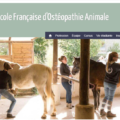 EFOA: école pour devenir ostéopathe pour animaux