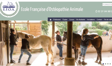 EFOA: école pour devenir ostéopathe pour animaux