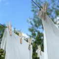 Les gargouilles : Lavez vos vêtements sans lessive