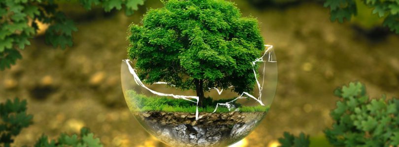 ROUSSELET Environnement : acteur engagé dans les problématiques environnementales
