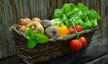 Vente de légumes bio en circuit court en Hauts-de-France