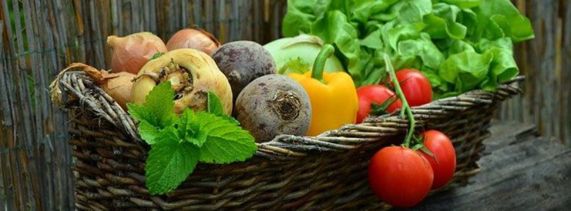 Vente de légumes bio en circuit court en Hauts-de-France